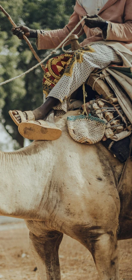 the back end of a camel with blankets and accessories on its back