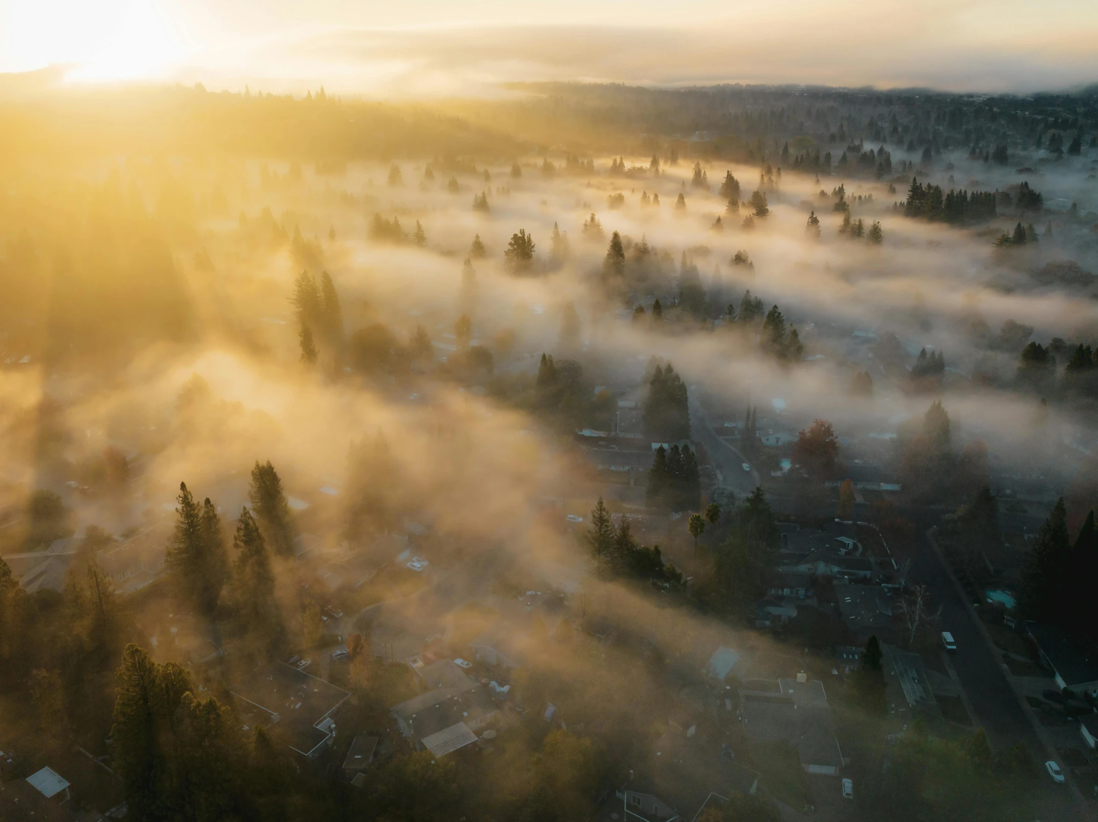 this is an aerial po of fog rising over houses