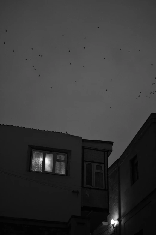 a black and white po of birds flying over buildings