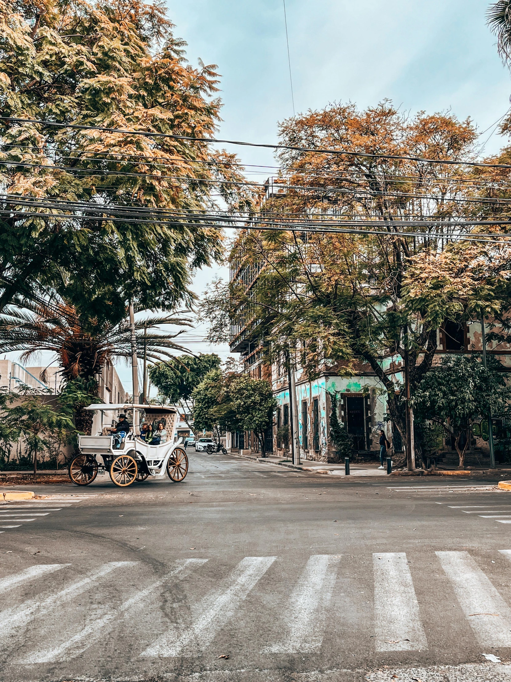 people crossing the street in an area that is vacant