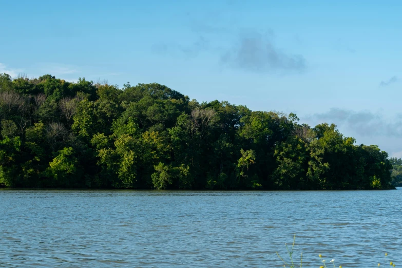 a large body of water near a forest