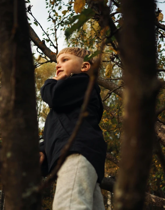 a boy standing on a tree nch in the woods