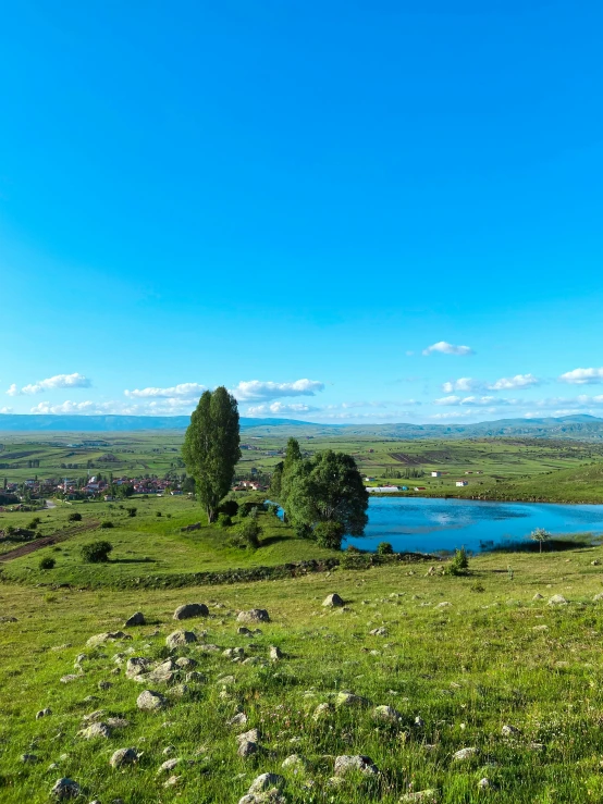 there is a lake on the hill, and trees are in the field