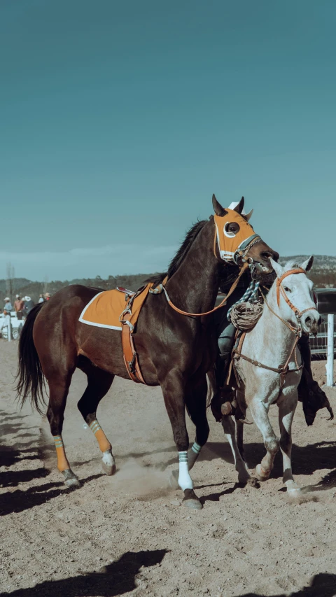 two horses in the dirt one with an orange head and the other with white feet