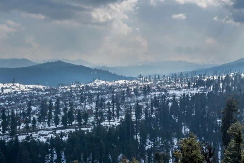 a snowy mountain landscape with pine trees on the hillside