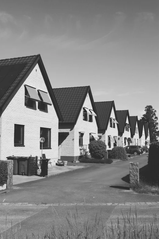 a row of houses with black and white po of them