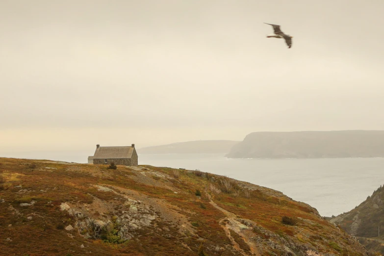 a bird flies over a hut on a hill