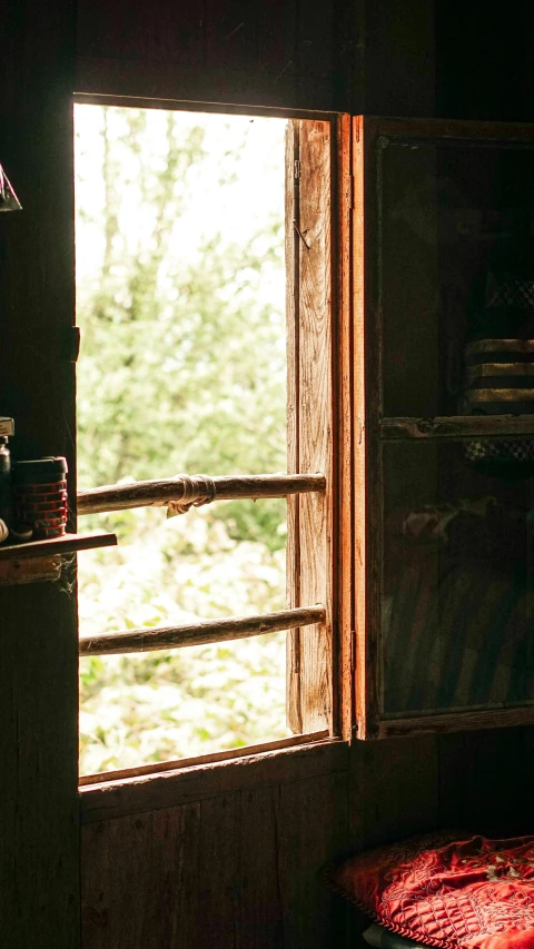 an open window showing a wooded area with trees in the distance