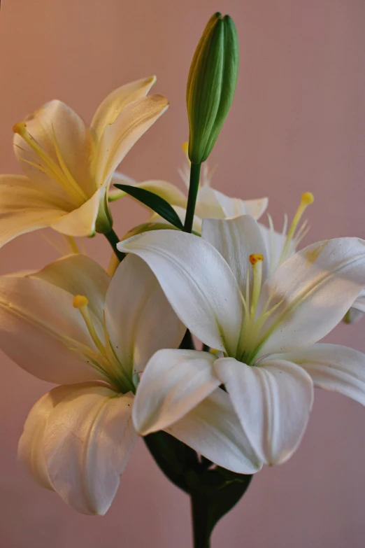 closeup of a vase filled with different types of flowers