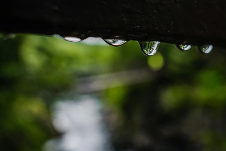 drops of water on the end of a wood slats