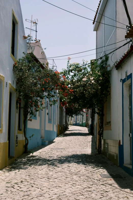 a sidewalk is lined with white buildings and blue shutters