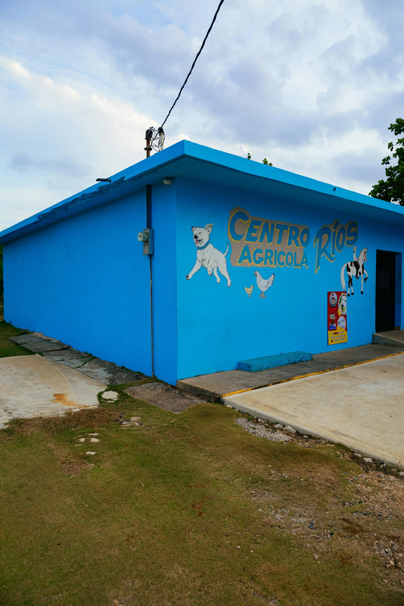 a blue building with dogs on the side of it