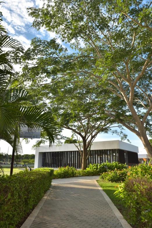 a white building surrounded by trees and a sidewalk