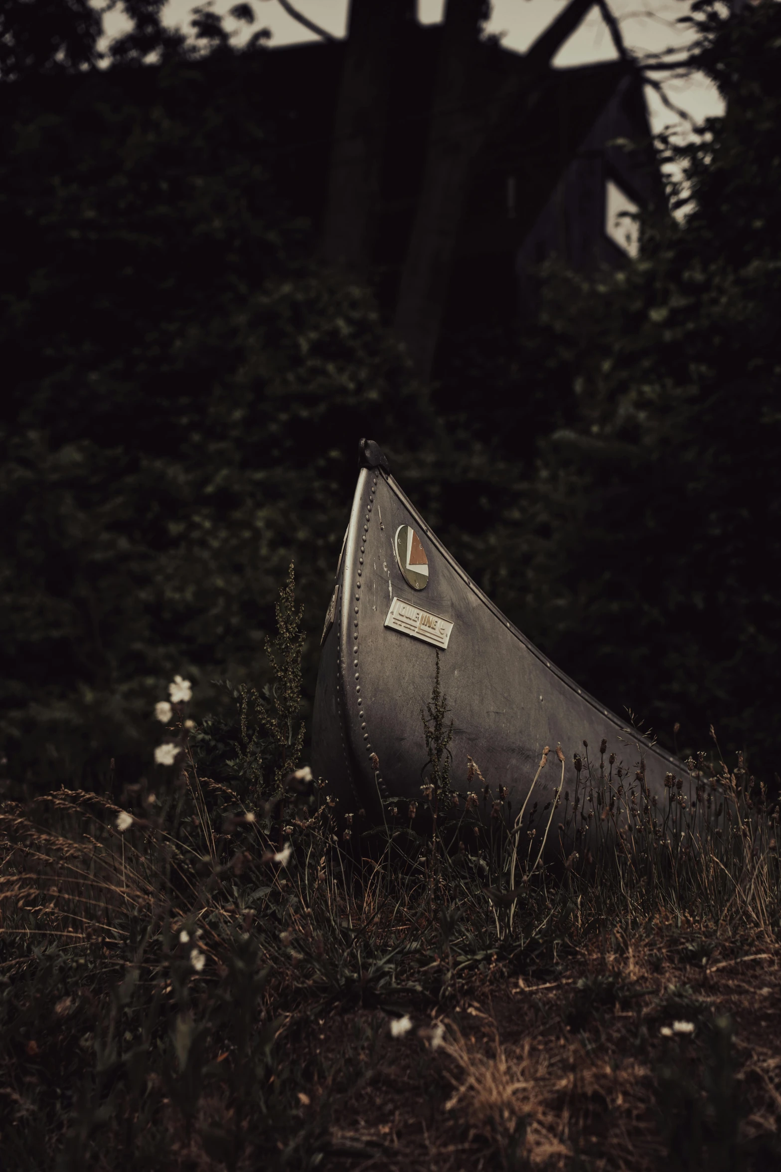 a canoe in the woods with some bushes in it