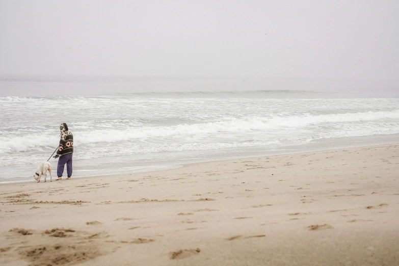 woman and dog on sandy beach next to ocean