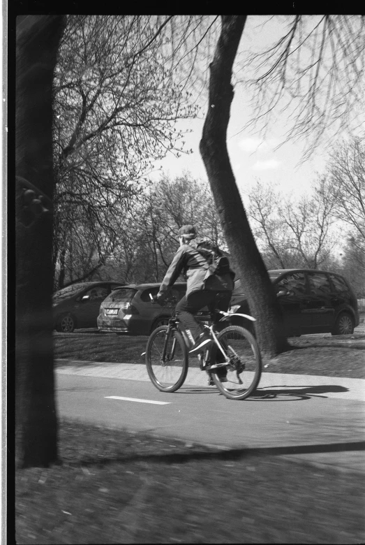 a black and white po of a cyclist passing a tree