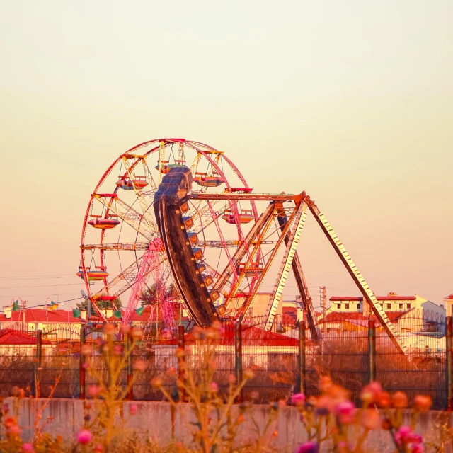 large ferris wheel next to the beach on a sunny day