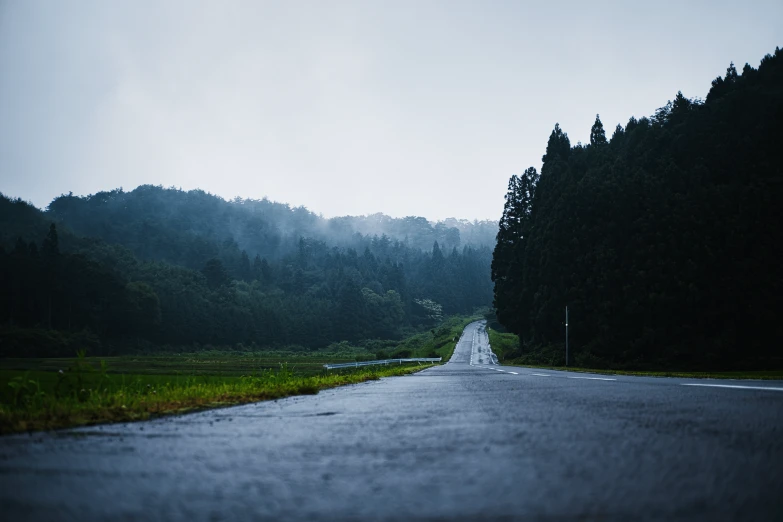 the empty road in the rain is next to tall trees