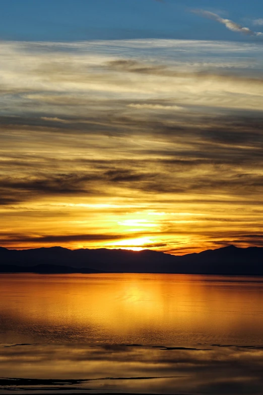 a bird sits on the beach while the sun sets