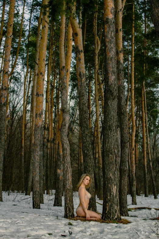  woman sitting on the snow surrounded by tall trees