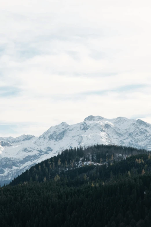 a snowy mountain landscape with a few trees below