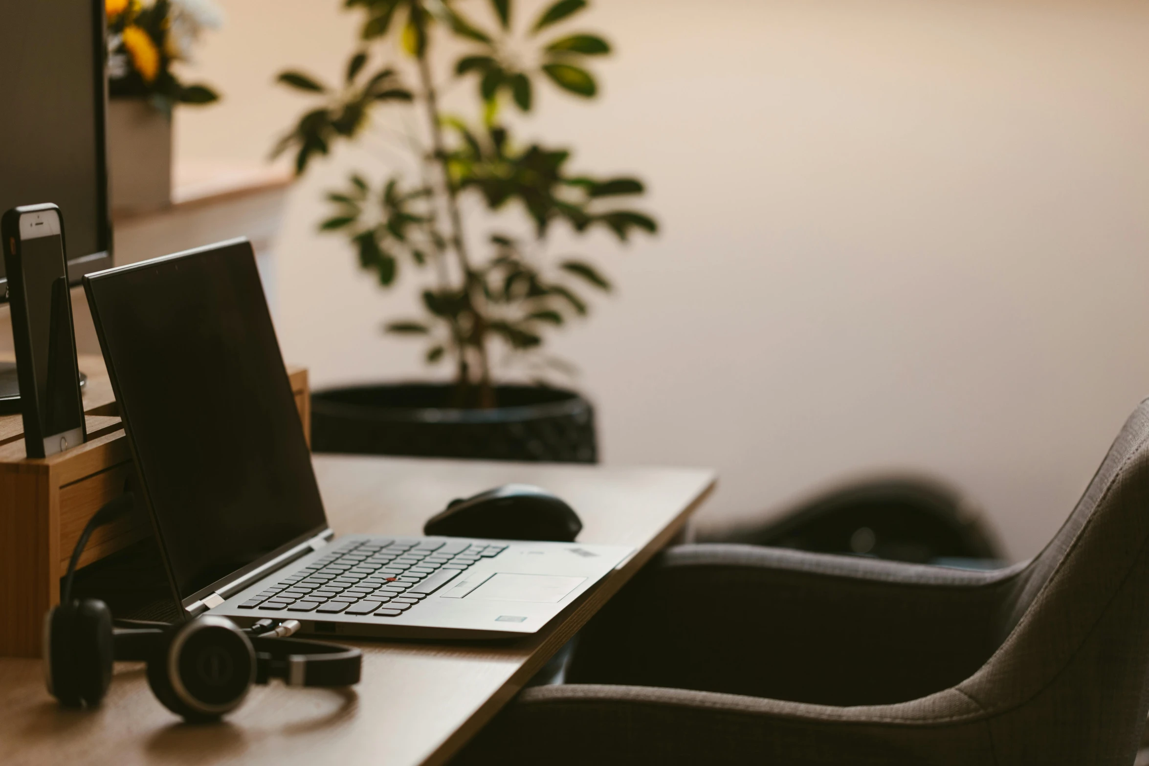 a laptop on a table next to a plant