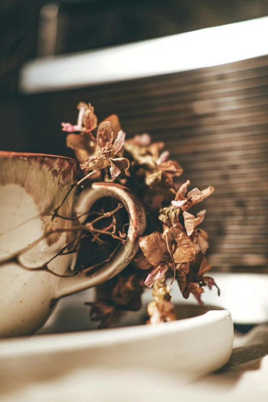 an old coffee cup and a plate with a plant in it