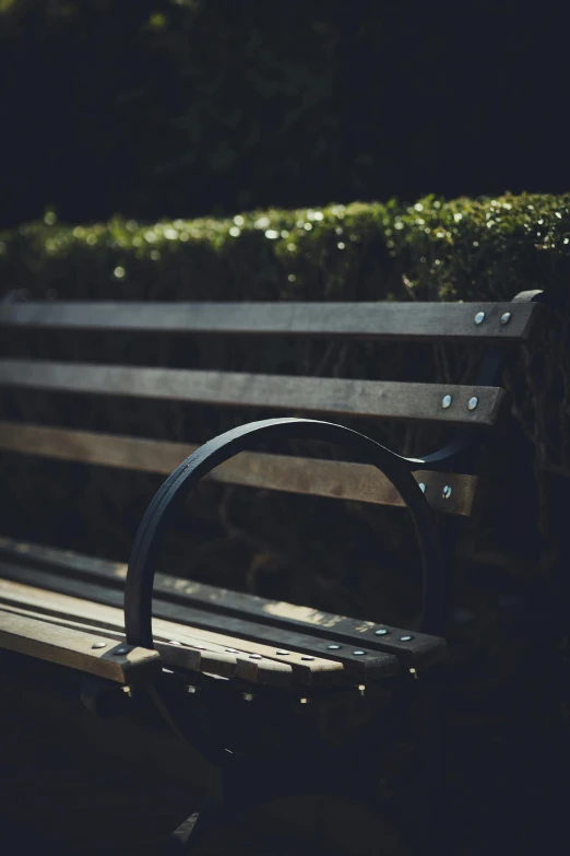 a bench is close to some grass and wood