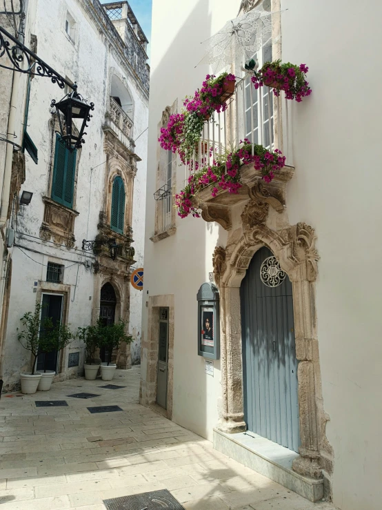 a view of a building with several windows and flowers in pots