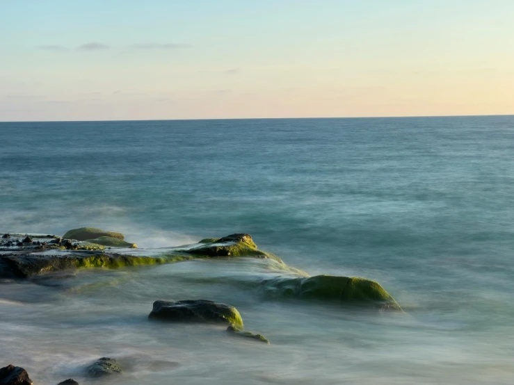 a lone bird walking along some rocks near the ocean