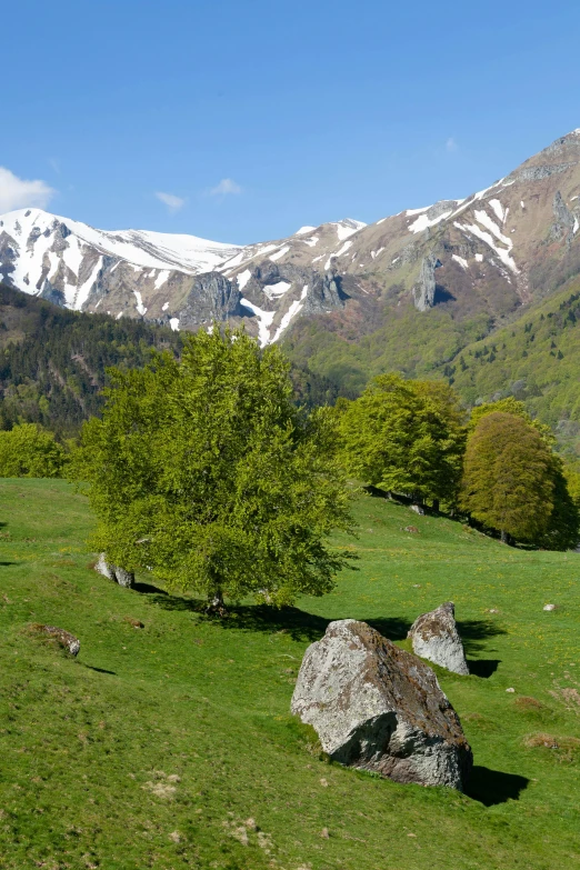 a mountain and field with grass, rocks, and snow