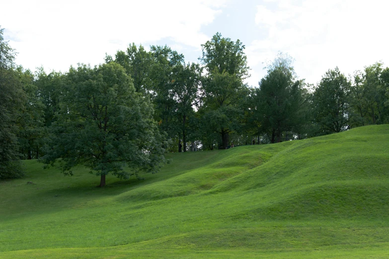 the top of a hill with trees in the background