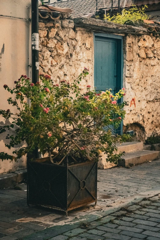 the blue door is closed and still on the building