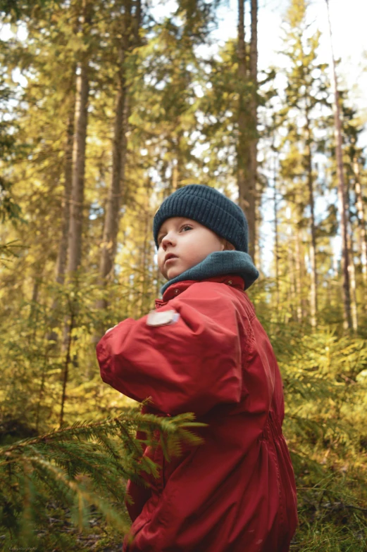 a  is standing in the woods