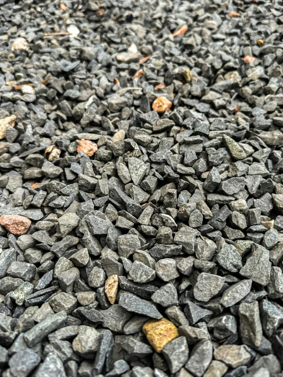 rocks and pebbles have small red and orange flowers