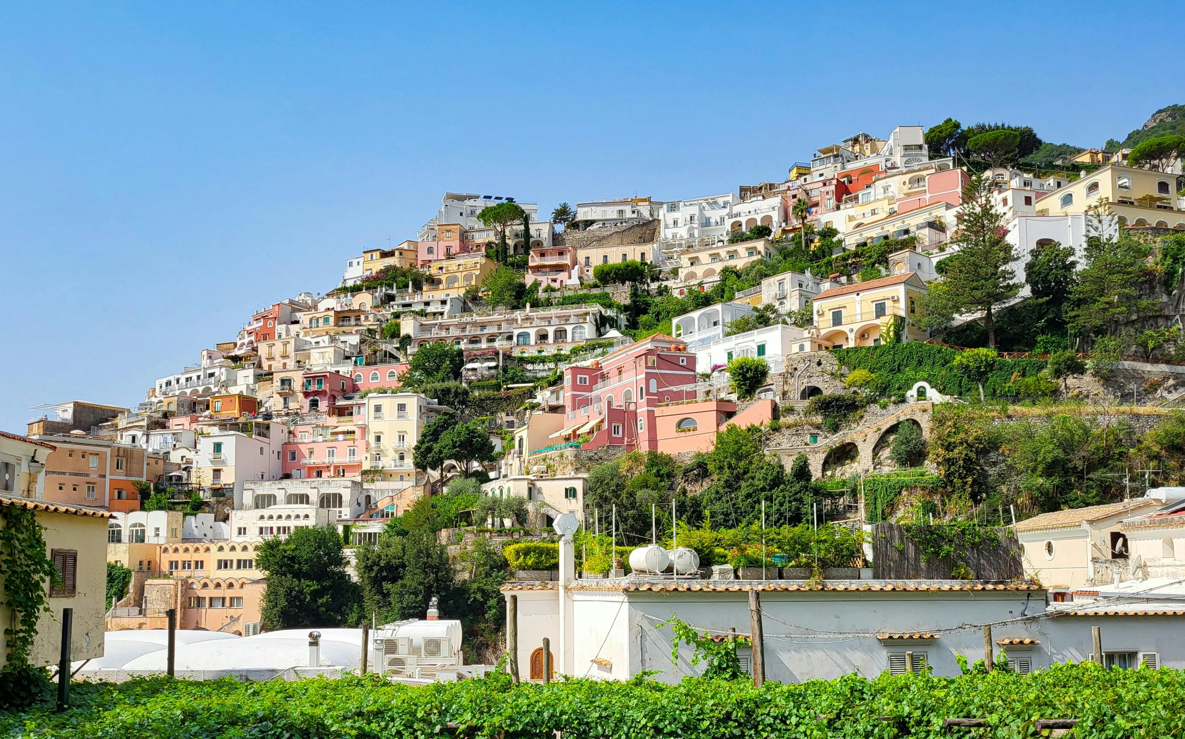 houses on a hillside above some hedges and bushes