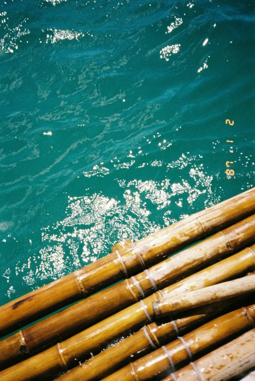a row of large brown bamboo poles sitting in the water