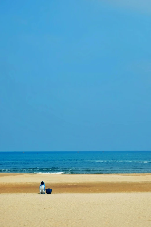 people are sitting on the beach as one kite flies