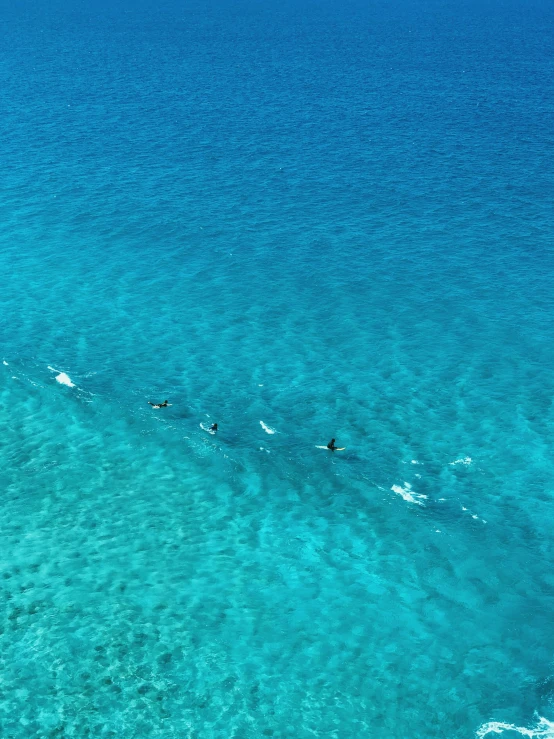 people swimming and riding boards in the water