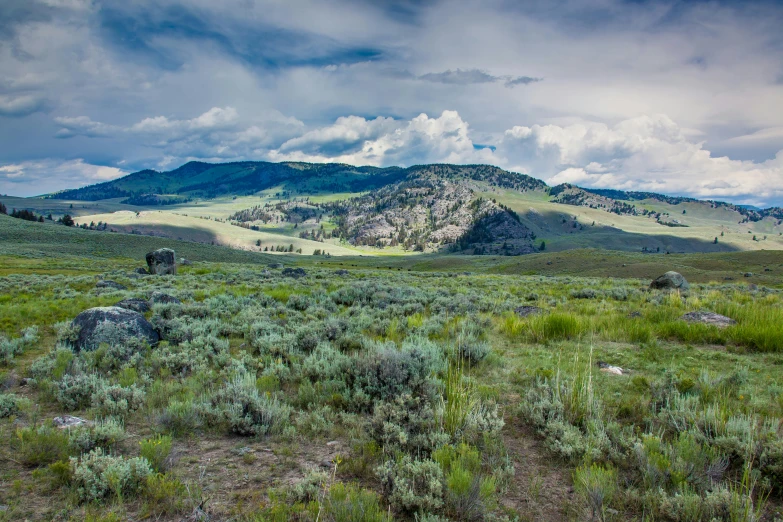 a mountain landscape is shown with shrubs and grass