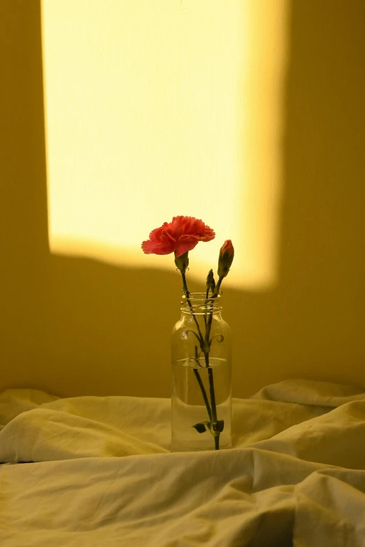 a lone rose sits in a glass vase on top of the bed