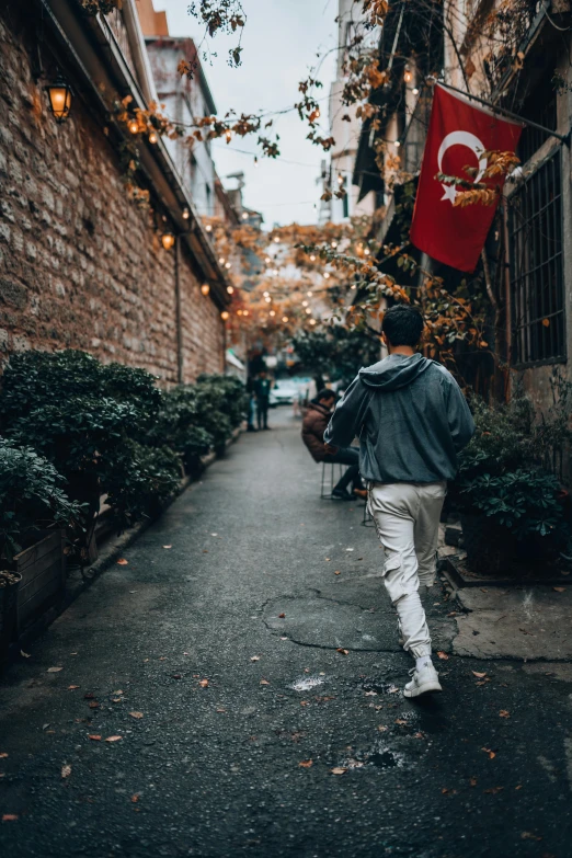 a person walking down a street with plants and trees