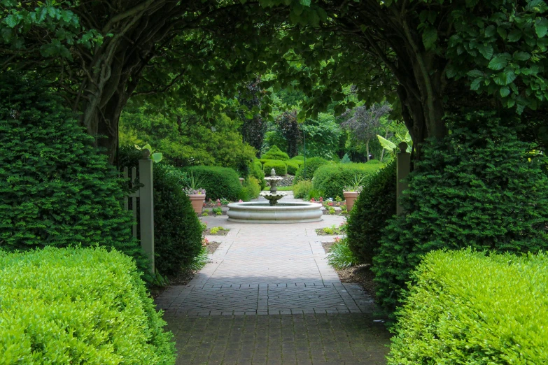 a garden with a fountain surrounded by hedges and bushes