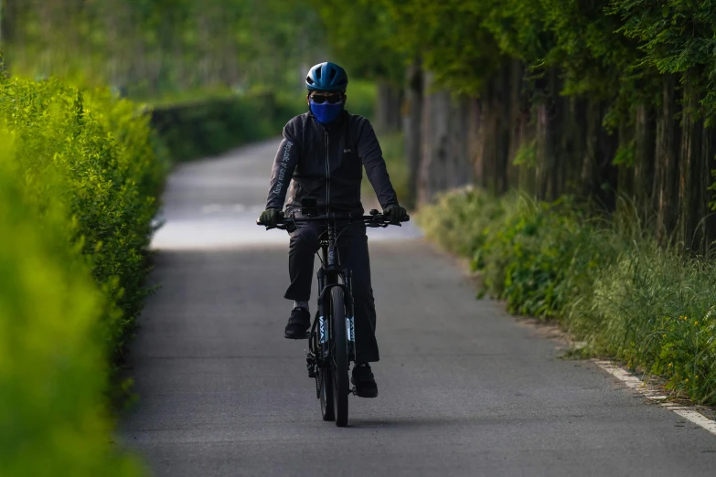 man on a bicycle with trees lining a road