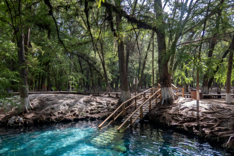 a lake that has a few wooden steps leading down it