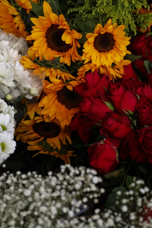 different colored and sizes of flowers together