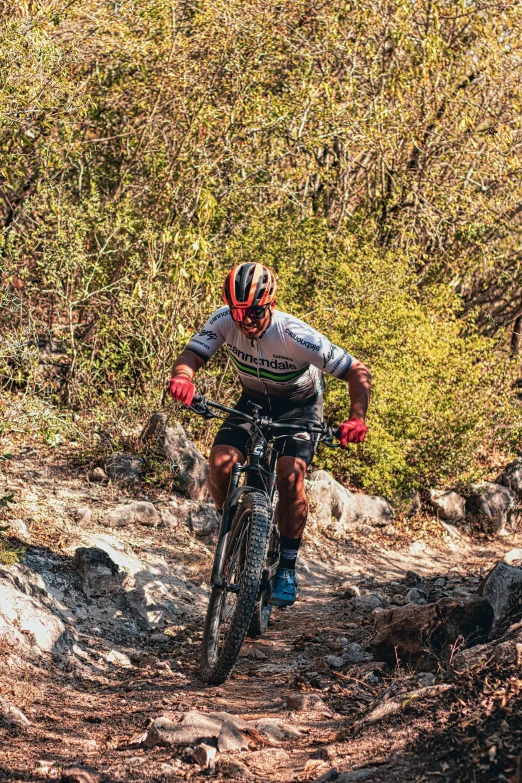 a person riding on the back of a bike in the woods