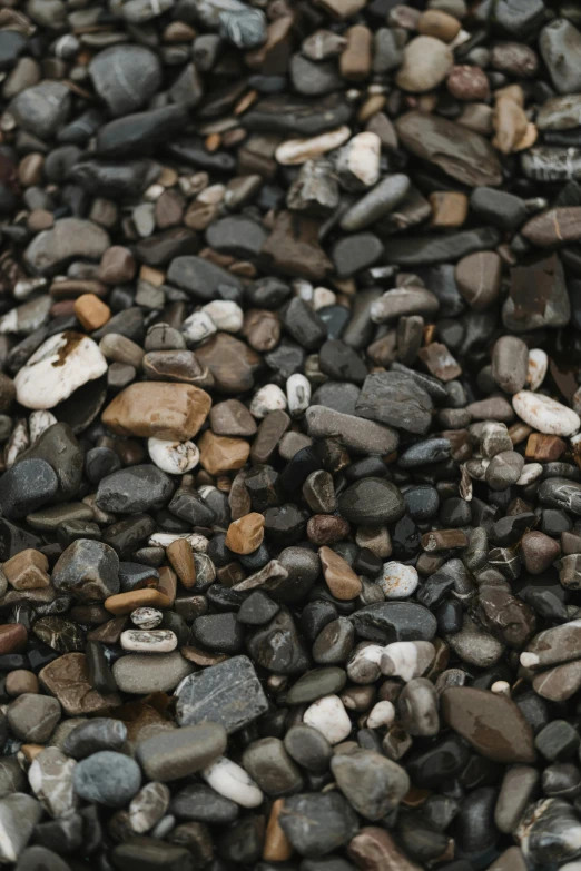 lots of rocks with little patches of dirt and gravel