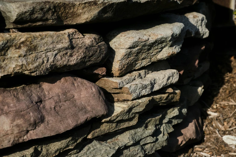 rocks with leaves growing on them stacked against one another