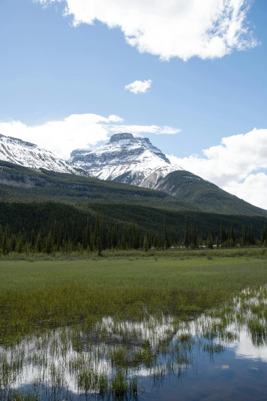 the water in the meadow is reflecting the snow capped mountain